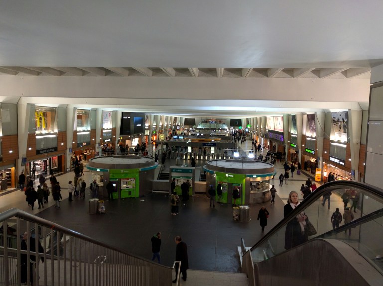 wp-1456840001565 image