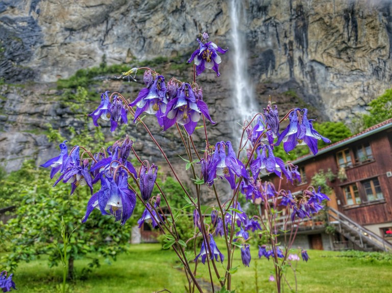 wp-1464950053559 image