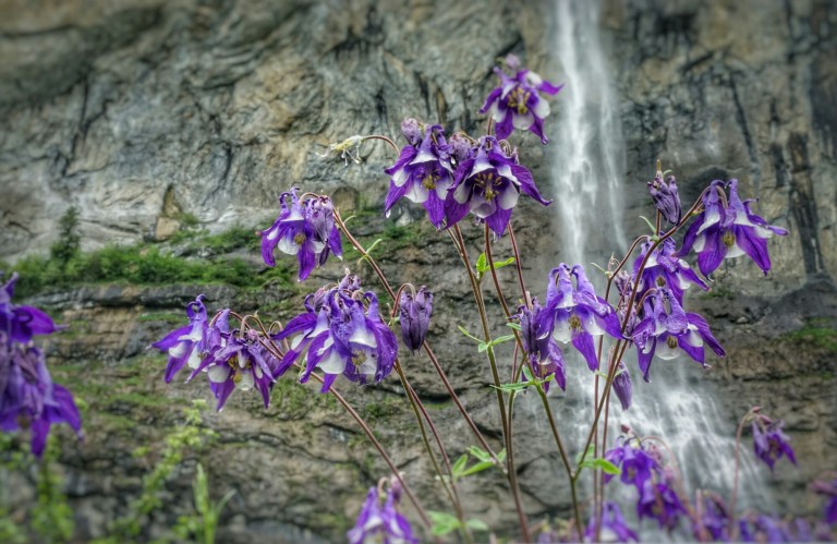 wp-1464959507996 image